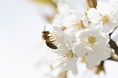 密桃AV成人:未来都市竞速巅峰,霓虹雨夜挑战极致驾驶艺术-4