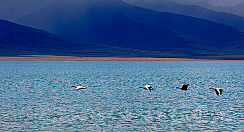 黄色软件app下载3.0.3免费2023先驱者手游：废土世界狂飙，打造你的专属末日战车-3