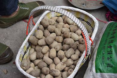 娇妻3p第一次找单男：三人竞速新纪元，策略协作颠覆传统赛车体验-4