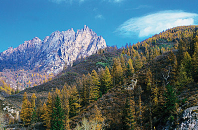 天天做天天舔:日复一日,人车合一的赛道修行日记-4