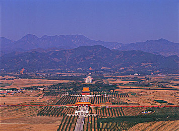 少妇与公豬牲交：荒野驯化者,原始农场中的生存契约与伦理边疆