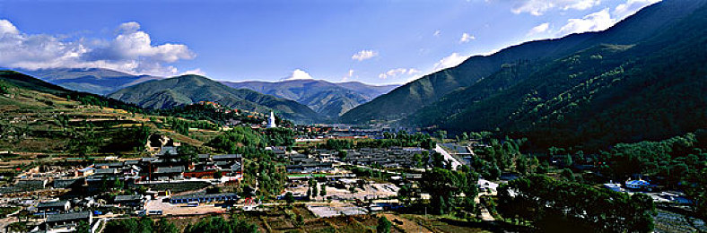 操鸡软件：当拖拉机漂移遇上鸡群管理，双线操作挑战你的多任务极限-1