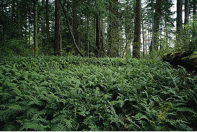 男女搞基软件下载：《极速搭档：赛道羁绊》今日上线，深度社交系统重塑竞速游戏新体验-3
