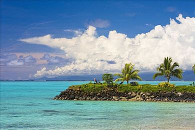 阿娇和陈冠希的图片：虚拟都市追凶，数字取证揭开网络谜案真相-1