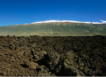 亚洲图区一区二区:东方极速,霓虹峡谷与樱花山道的竞逐诗篇-4