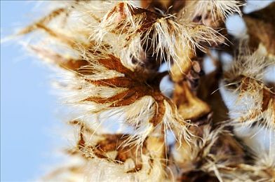 10大禁止安装的应用：车载娱乐新规，这些游戏可能危及你的行车安全