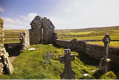 日批软件：每日赛道焕新，挑战极限循环，这款赛车游戏让你告别重复体验