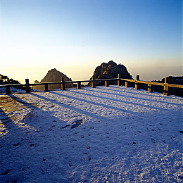 色情软件大全VIVO：极速幻想，光影飞驰，虚拟竞速世界的沉浸之旅-1