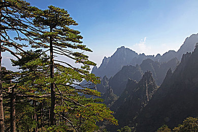 3.0.3免费oppo版：《极速狂飙：自由之路》全新版本上线，开放世界驾驶体验全面升级-2