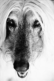 机机对机手机免费下：免费赛车手游都市对决上线，实时竞速改装系统引爆指尖狂飙