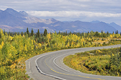 黄色软件APP下载免费:墨西哥画卷中,驾驭金色风暴的竞速艺术-2