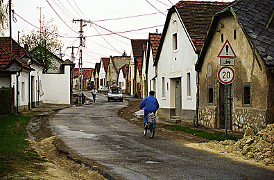网红萌白酱：虚拟偶像跨界极速狂飙，双线养成竞速新游今日深度解析-2