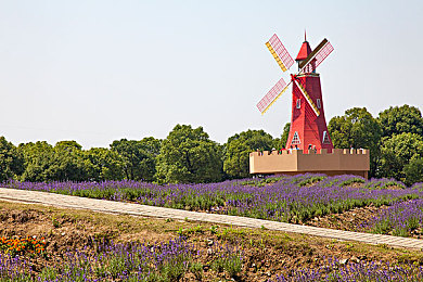 女人和男人一起同软件:双人协同驾驶革新,极速搭档开启默契竞速新纪元-2