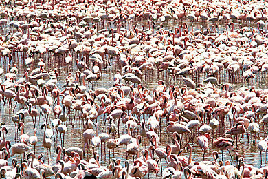 时间静止学院：驾驭刹那，在凝固世界中竞速解谜的艺术-1