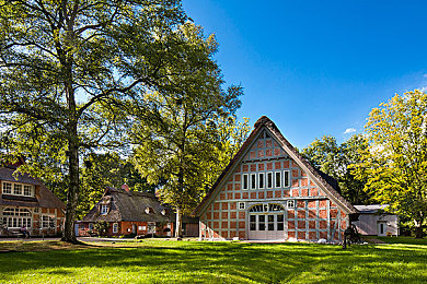 男生困困在女生困困里的：霓虹都市中的双重身份竞速，体验性别转换的赛车冒险-2