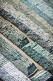 aqdyjb社保片:墨西哥画卷,车轮上的无限狂欢与挑战-3