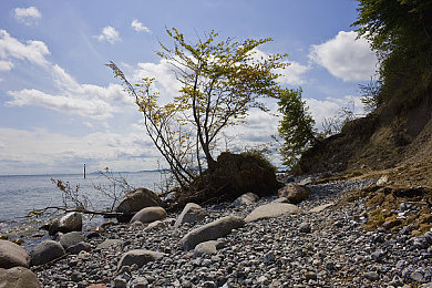 男女一起差差软件：差异化协作竞速新纪元，《双人极速同步驱动》深度玩法解析今日上线