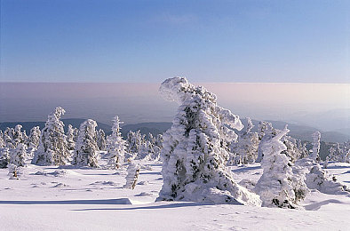 国产亚洲成人片：都市竞速新作，霓虹夜色下的改装狂飙与多线剧情-2