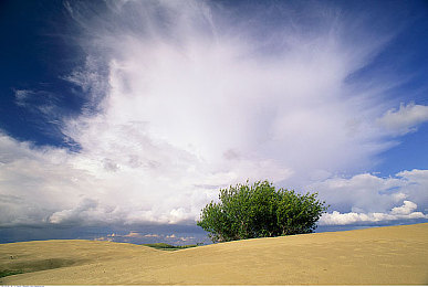 同性恋xxxx：极速彩虹赛道，真实赛车生涯与多元社群挑战的竞速新体验