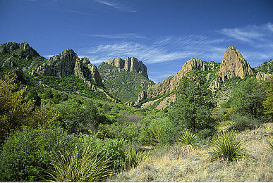 黄色软件秘：地下改装狂飙，破解车辆性能的终极犯罪模拟