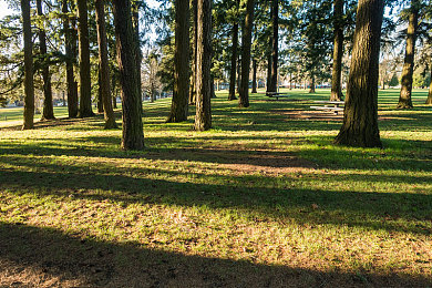 边打扑克边喊疼：卡牌策略与硬核驾驶融合，全新游戏今日上线-2