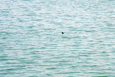 黄网站进入:极限竞速地平线5金色沙尘暴席卷墨西哥,征服极端天气的终极攻略-2