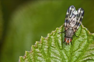 爱情搞论坛永久网站：极速飞驰中，构建你我心灵的永恒车库