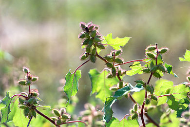 黄色下载app3.0.3：极限竞速地平线新版上线，视觉革命与驾驶快感全面升级