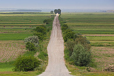 男生和女生差差差还很疼的app:竞速新游颠覆传统,动态驾驶模式引发策略挑战热潮-4