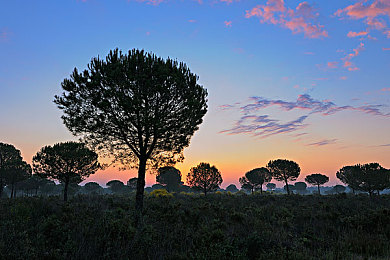 男同gv网站：《地下车手联盟》今日上线，团队竞速玩法与深度定制系统引爆街头赛车热潮-2