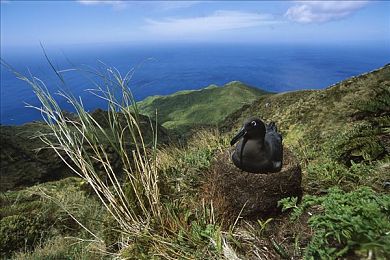 国精产品一区一区:在顶级赛道打造专属座驾,体验极致改装与竞速文化-2