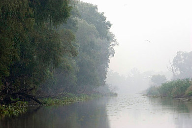 打扑克软件又叫又疼：卡牌策略驾驭硬核赛车，创新游戏将头脑博弈与极致操控合二为一