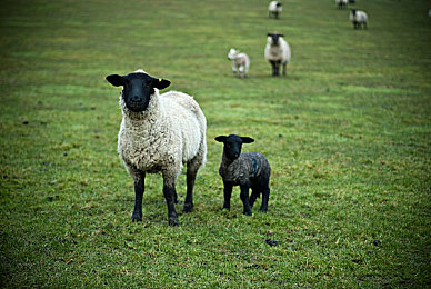 性色TV：霓虹都市极速狂飙，赛博朋克竞速新作今日正式公开-3