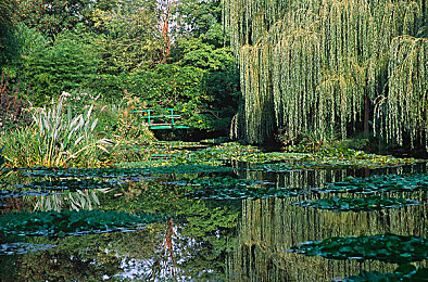 大白屁股欧美:复古肌肉车狂飙,征服欧美开放世界的竞速新纪元-3