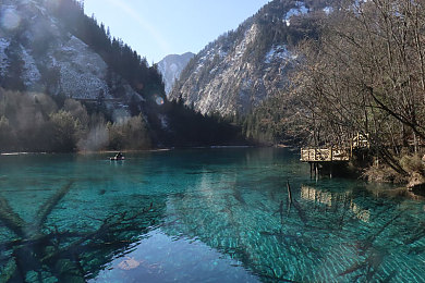 女的越痛男的越痛app：双人驾驶游戏革新情感联结，虚拟共感机制引发玩家热议-3