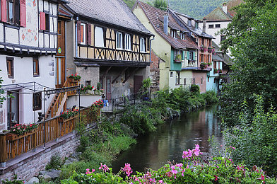 国产成人生活片：在虚拟世界书写属于你的人生篇章，体验成长选择与平衡艺术-3