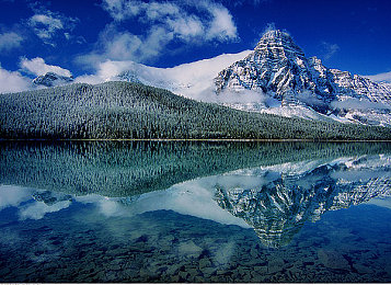 黄色软件下载3.0.3每天无限次免费大全华为费:华为竞速新作颠覆传统,无限氮气开启纯粹驾驶乐趣-2