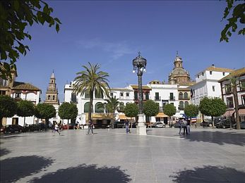 黄色软件下载免费版3.03：街头赛车3.03官方正版攻略，解锁全车辆与安全竞速指南-2