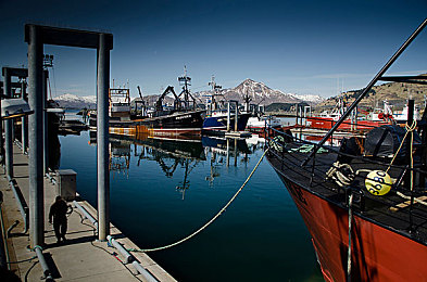 火辣的导航：炽热领航者，墨西哥狂野征途的沉浸向导