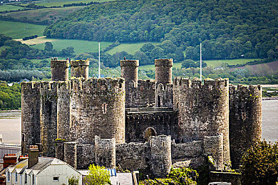 赵丽颖ai换脸：虚拟偶像引擎轰鸣，定制明星车手驰骋极速新纪元