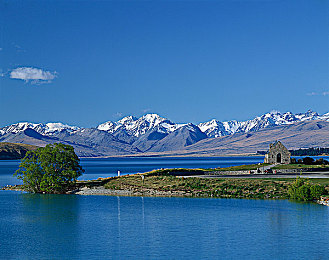 男女差差差APP下载：极速对决新策略，性别差异打造深度赛车体验-2