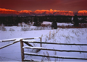 黑料网曝：极限竞速地平线5隐藏车辆揭秘，未来更新内容抢先看