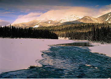 好 色 先 生·T··V:赛博竞速新作颠覆视觉,霓虹都市中的色彩驱动冒险今日上线-1