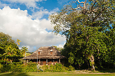 KTV男鸭18Gay1069CH：霓虹城谜局，十八昼夜的都市身份冒险之旅-2