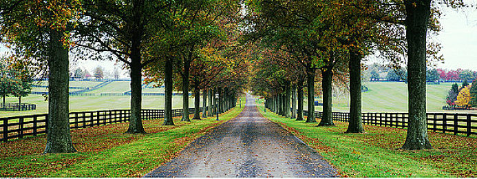 汇聚亚洲一区二区：极速穿梭，樱花山道与热带雨林的东方竞驰之旅-3