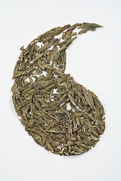 流氓视频软件：数据窃速者，非法改装赛车的数字劫持之旅-3