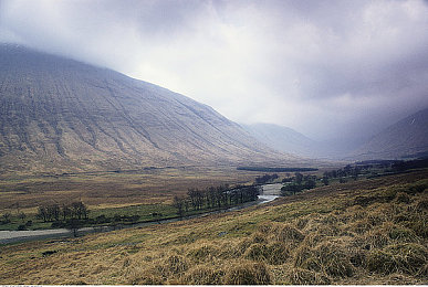 男人和女人差差差aPP：虚拟赛道颠覆传统，性别驾驶差异如何重塑竞速游戏新体验-2