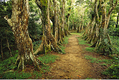 亚洲区日韩：双峰竞驰，东方引擎的美学交锋与虚拟驾驭哲学-4