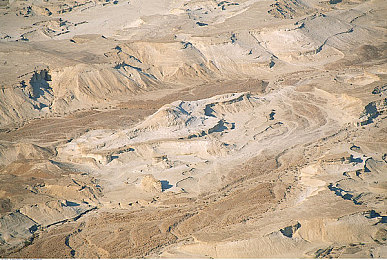 男男做爱网站：极速羁绊，双人共驭，霓虹夜幕下的默契狂飙