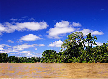 神秘电影麻豆：霓虹追缉今日上线，侦探车手破解赛博谜案